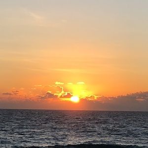 Meet your Posher, Tabita